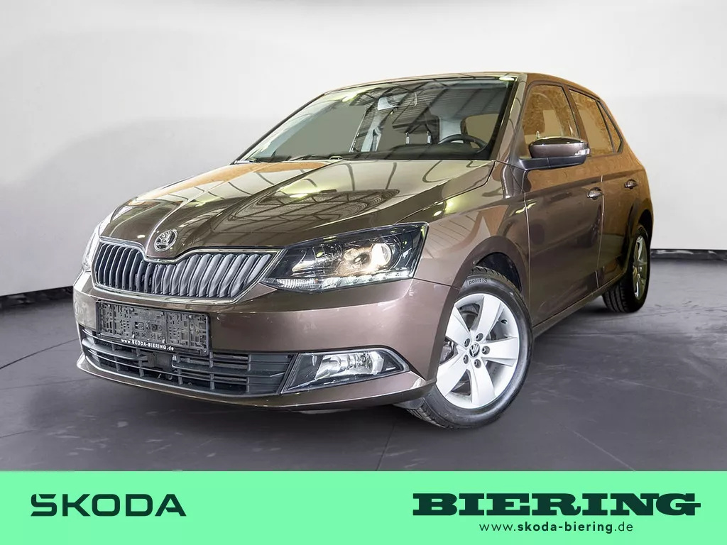 FABIA – Fabia 1.2l TSI Style Green tec – Autohaus BIERING Neu- und Gebrauchtwagen