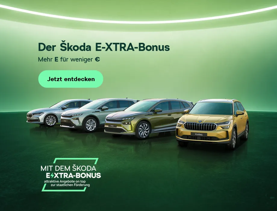 E-Auto-Förderung 2026 – Aktionen und Angebote – Autohaus BIERING